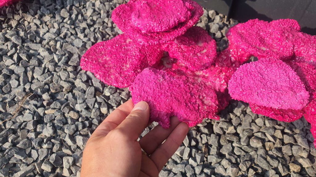 pinkroserockhand pinkroserockhand